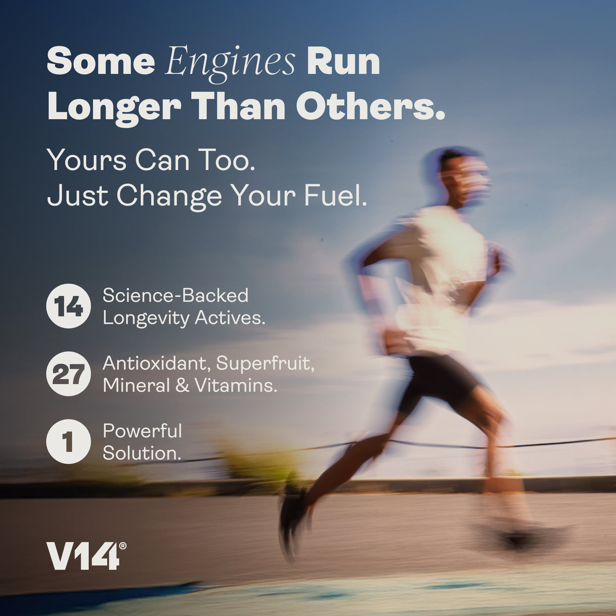 V14® Longevity Reds